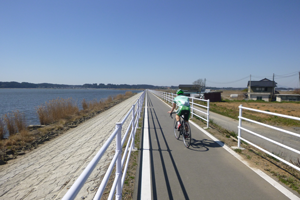 涸沼自転車道