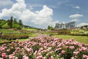 茨城県フラワーパーク