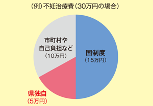 不妊治療費30万円の場合の円グラフ