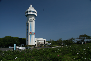 大野潮騒はまなす公園