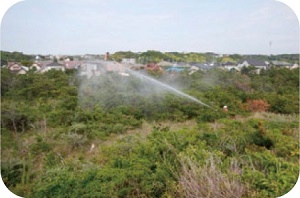 ひばり7月号森林の保全整備