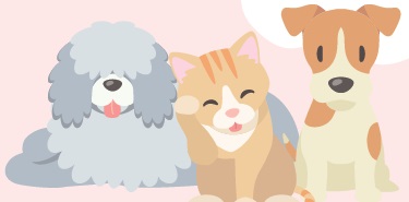 犬や猫イラスト