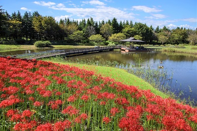 みかも万葉庭園