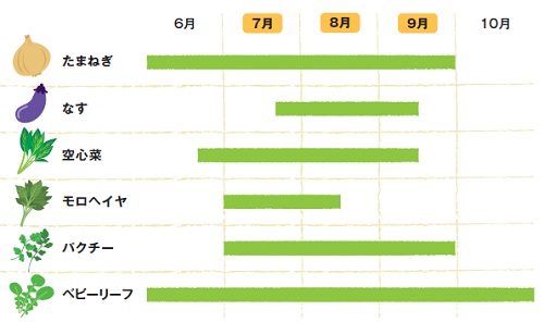 野菜カレンダ