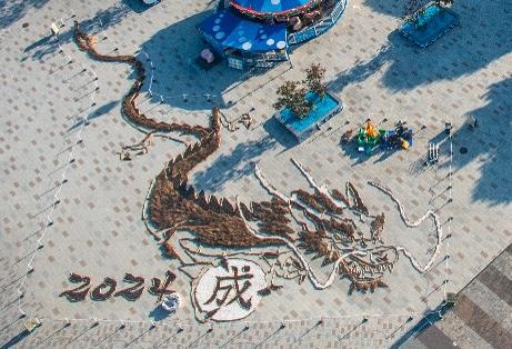 干支の巨大地上絵・辰01(国営ひたち海浜公園)