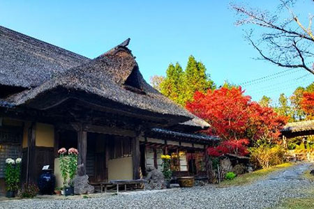 春風萬里荘の紅葉