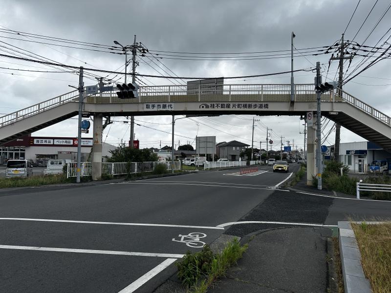 写真、桂不動産片町横断歩道橋1