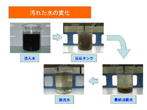 汚れた水の変化