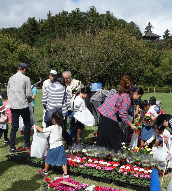 花苗プレゼントの写真(偕楽園公園)