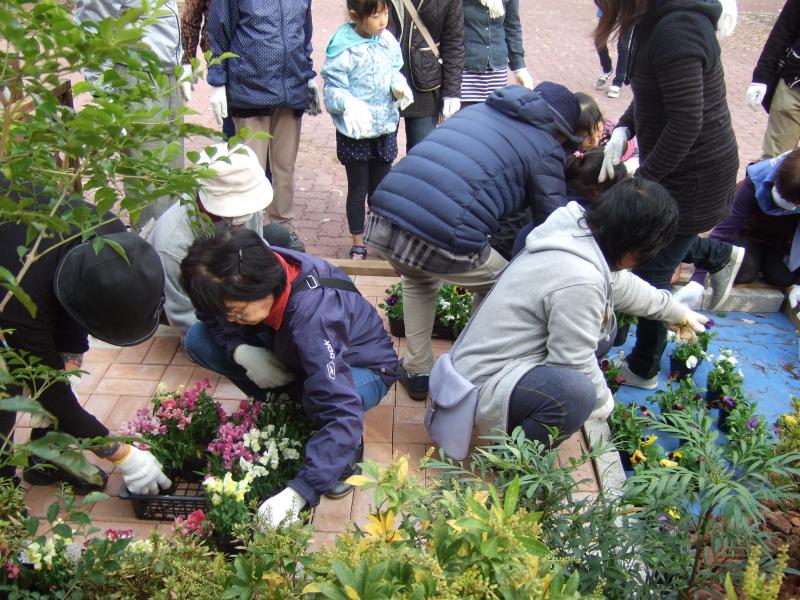 県西総合公園の緑化祭チャレンジガーデニングの写真