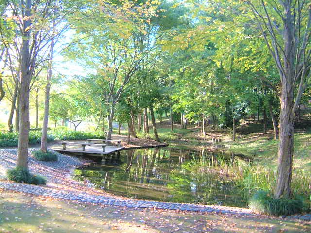 沢渡川緑地の写真2