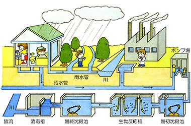 下水道の仕組み