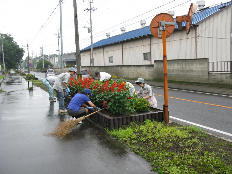 道路里親活動風景その1