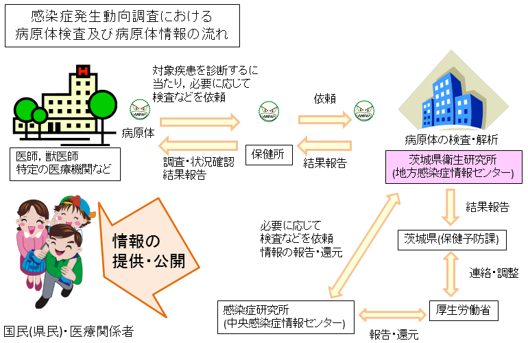 感染症発生動向調査における病原体検査及び病原体情報の流れ