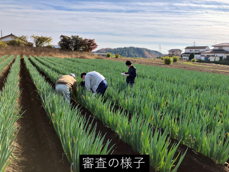 審査の様子の写真