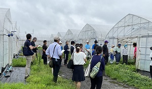 ほ場での横山農場長の説明