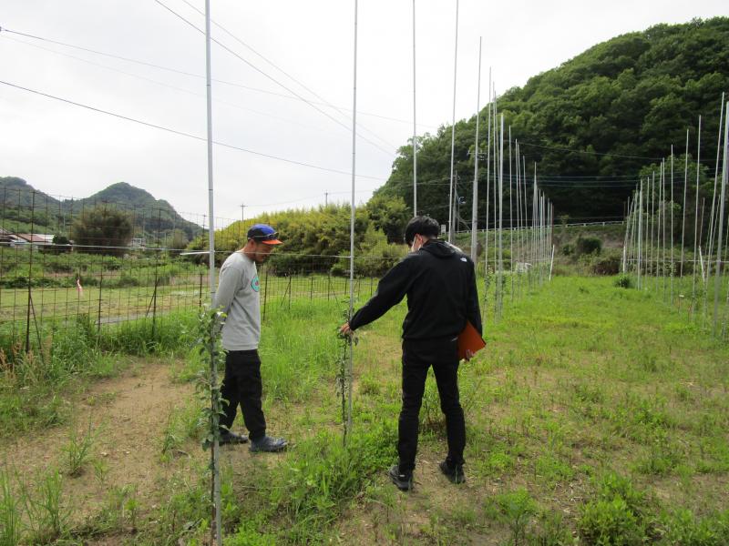 生育状況の確認