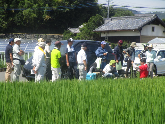 輸出用米現地検討会