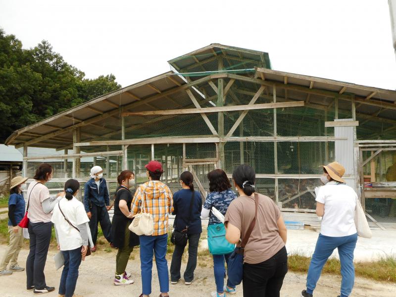 採卵鶏ほ場見学