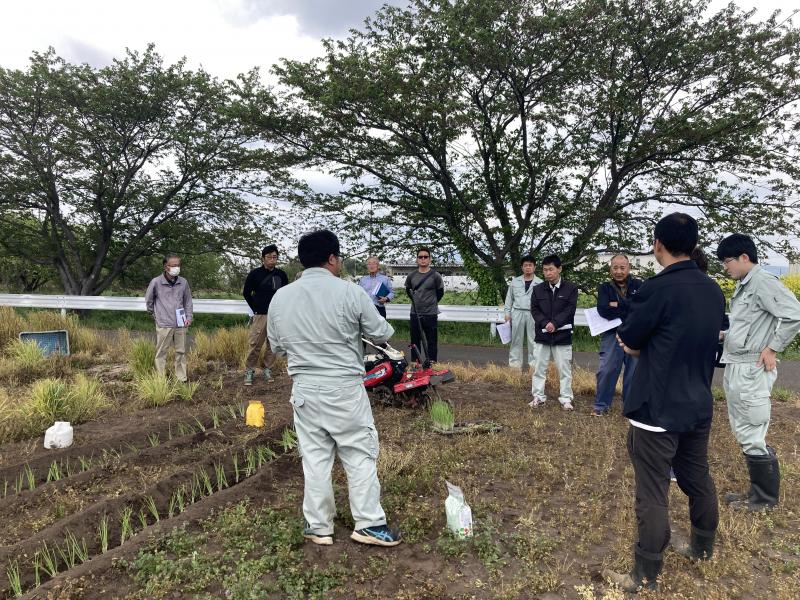 ねぎプロジェクト定植実演