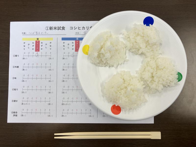 試食会