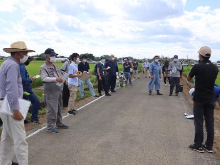 水稲ドローン追肥現地検討会1