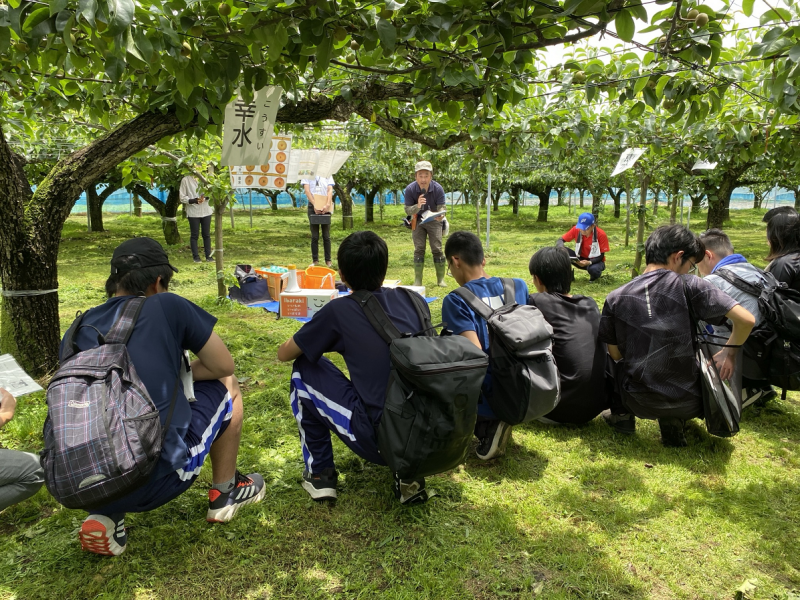 農場見学会