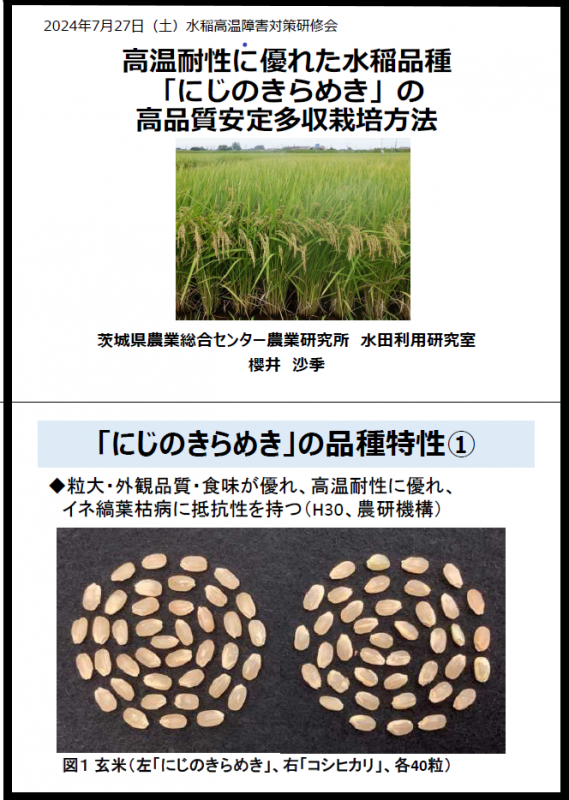 にじのきらめき多収栽培方法