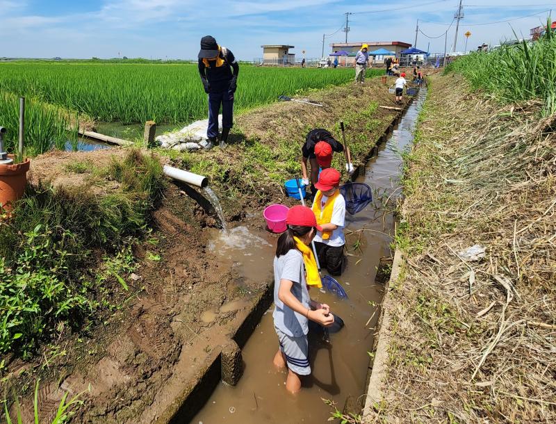 長須生き物調査