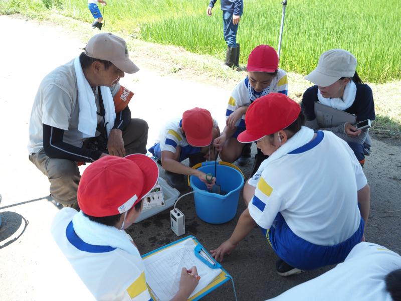 生き物確認