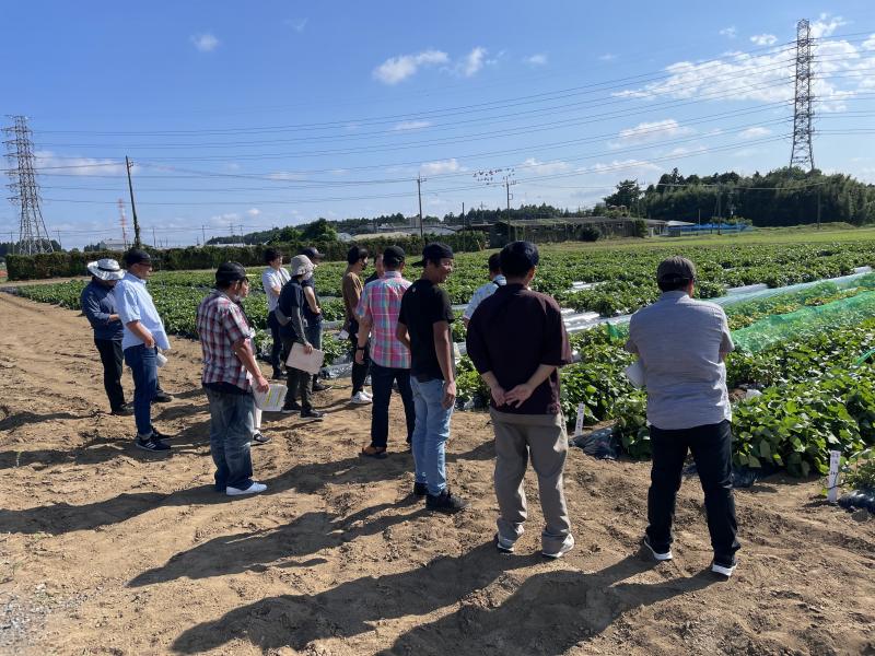 農業研究所試験圃場の視察の様子