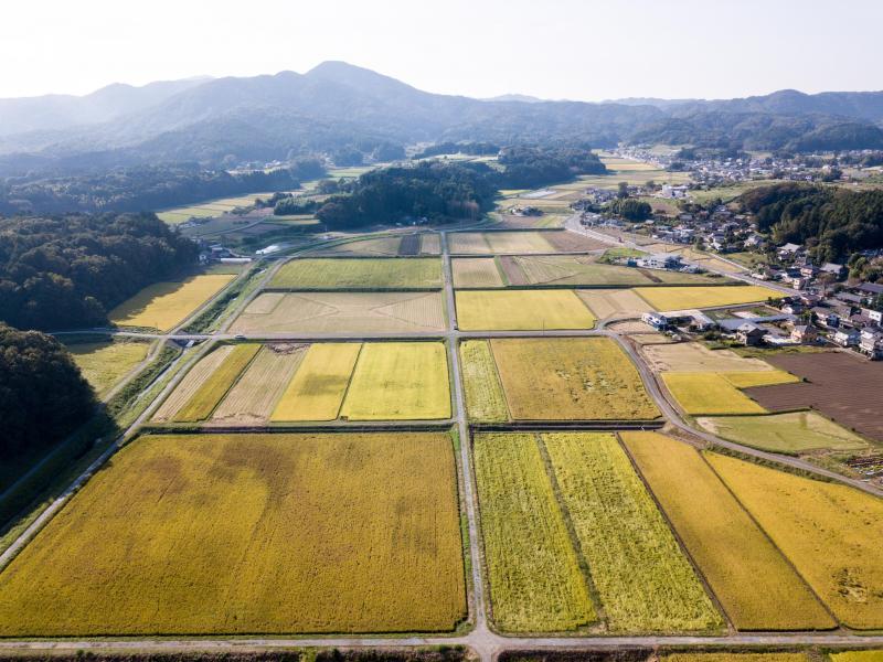 箱田中央地区