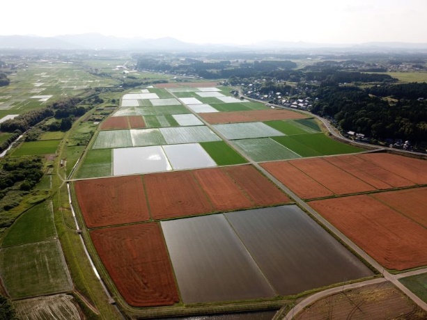 南川又地区