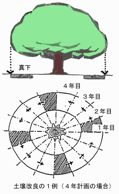 土壌改良の1例のイラスト