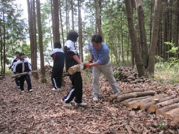 写真、参加者による仮伏せの様子