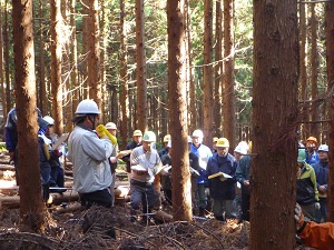 写真、大部氏による間伐方法の解説