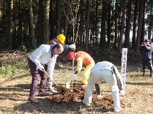 写真、ソメイヨシノの記念植樹の様子