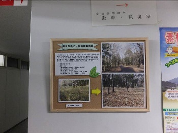 本庁舎3階での展示の様子