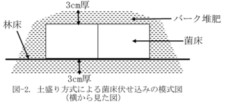 土盛り方式による菌床伏せ込みの模式図