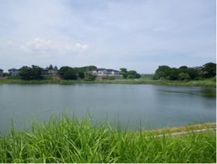 写真、名平洞公園