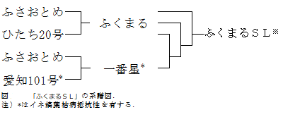 ふくまる系譜図