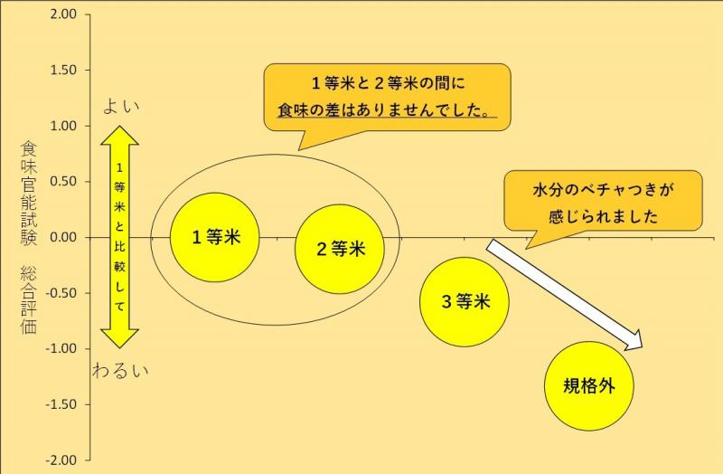 等級別食味試験結果