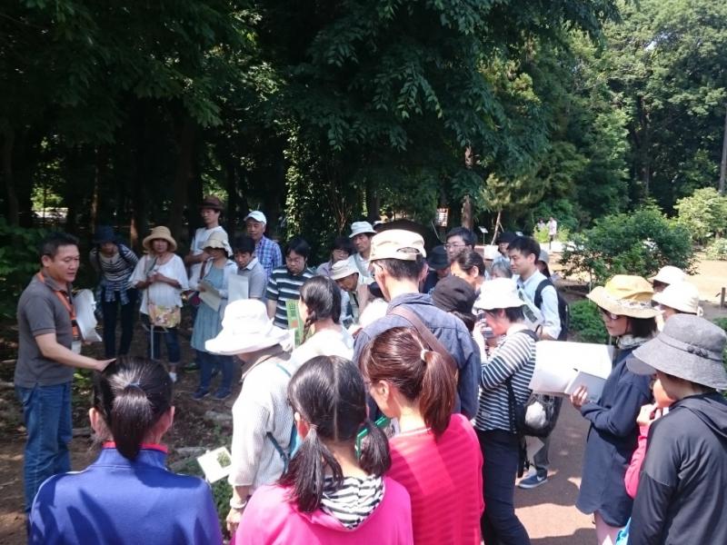 身近な自然観察会（筑波実験植物園）