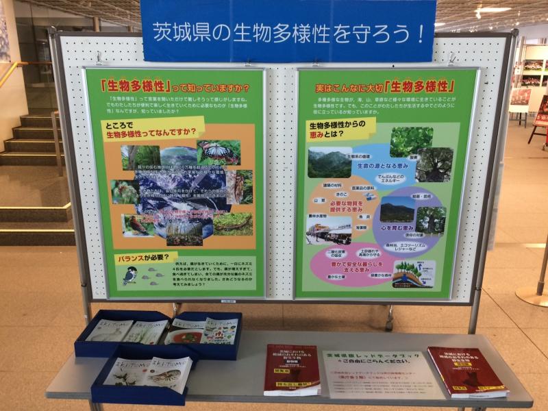 2019生物多様性広報コーナー展示の写真1