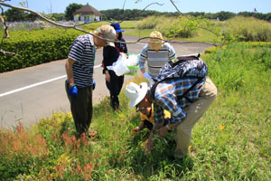 特定外来生物除去・啓発イベントの写真4