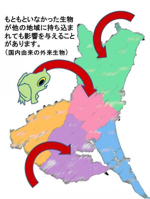 イラスト、元々いなかった生物が他の地域に持ち込まれても、影響を与えることがある