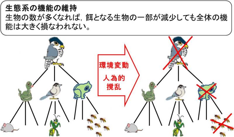 生態系の機能の維持